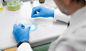 Gloved researcher examining a petri dish sample in a laboratory, representing peptide science research articles
